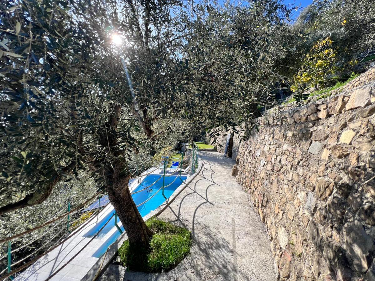 Villa Di Campagna Con Vista Mare 5 Camere Da Letto Pampara Exteriör bild